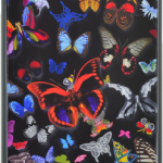 Coque arrière Christian Lacroix « Butterfly Parade » (Oscuro) – Packshot