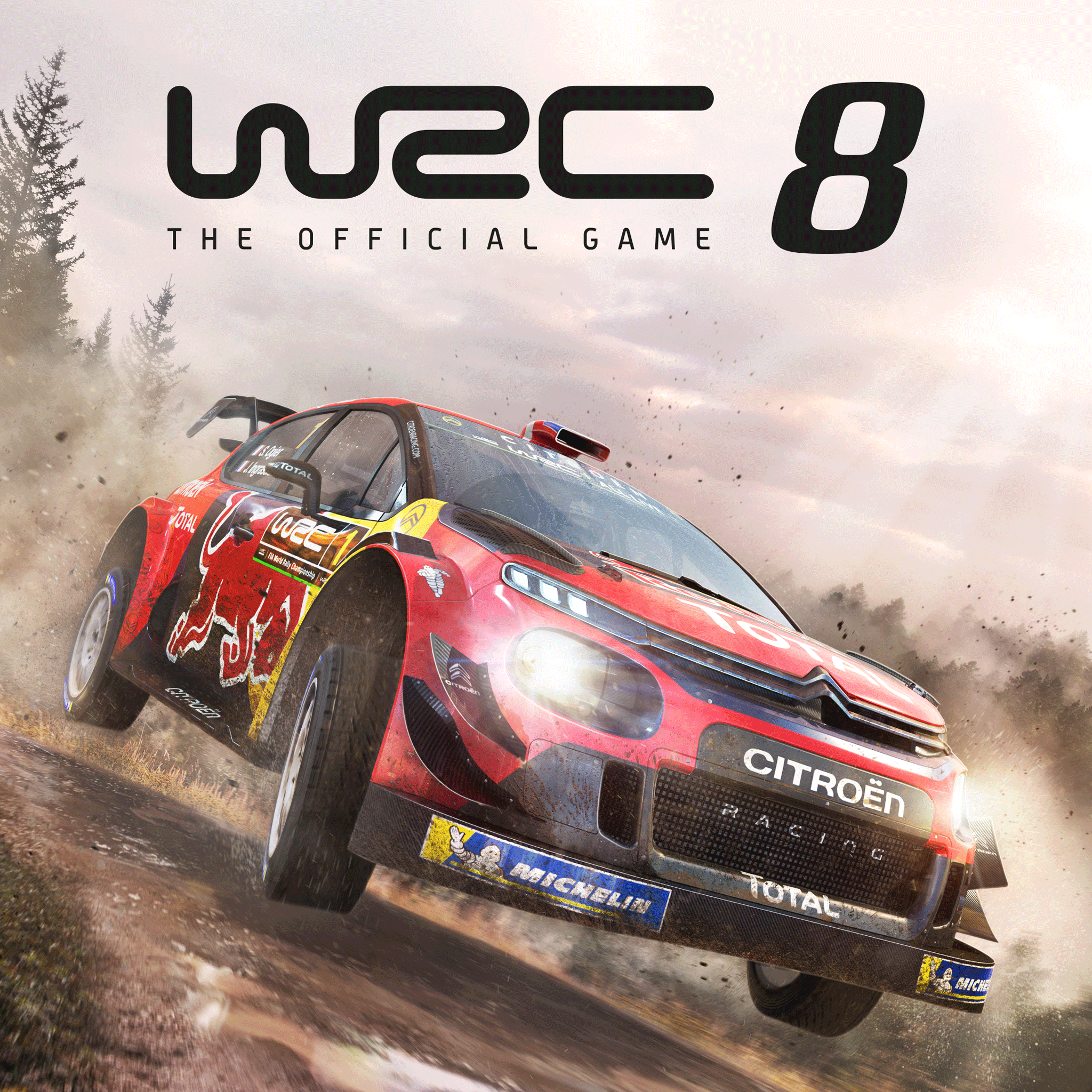 Wrc 8 fia world rally. WRC 8 FIA World Rally Championship. WRC ps4. WRC FIA World Rally Championship. Плейстейшен 3 WRC 4 World Rally Championship.